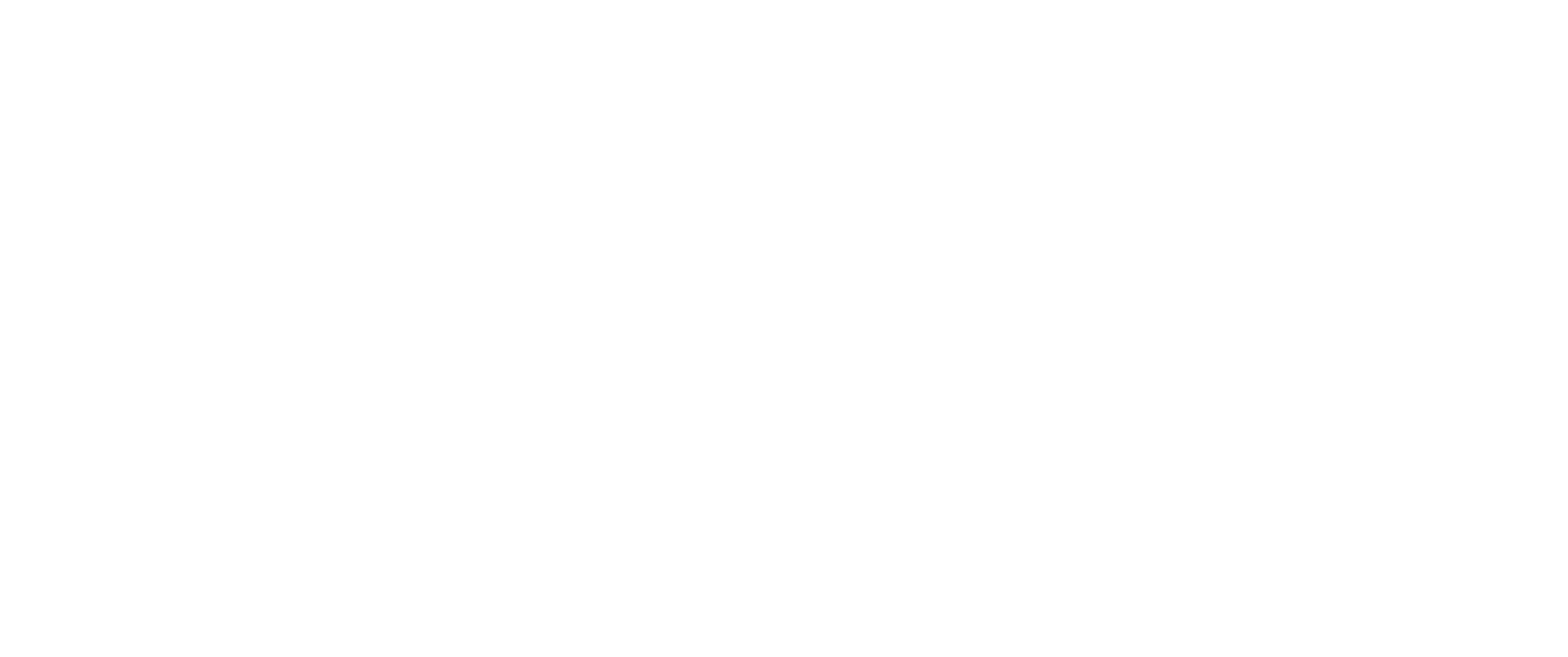 VicKey B&W logo